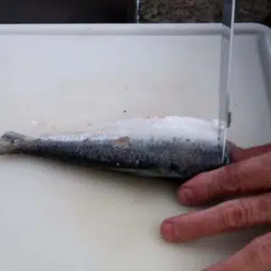 raspando as escamas da sardinha com uma faca