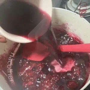juntando o vinho com as frutas vermelhas