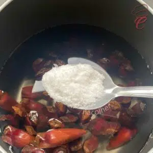 adicionando sal na agua para cozinhar o pinhao