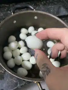 descascando os ovos de codorna