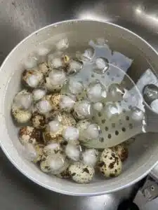 ovos de codorna esfriando