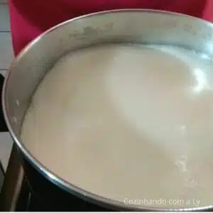 fervendo o leite para requeijão de corte simples